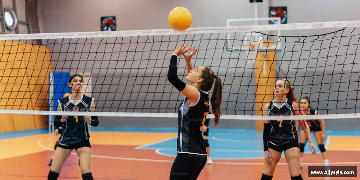 介绍熊猫体育中国